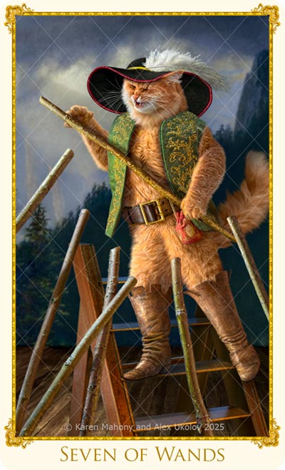 Red velvet drawstring evening bag. Used in The Bohemian Cats Theatre Tarot.