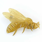 Bee or wasp carved horn brooch. French Art Nouveau.
