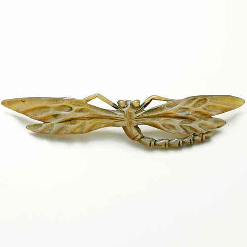 Art Nouveau brooch, antique carved horn brooch, dragonfly pin