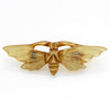 Moth brooch, hand carved in horn. French Art Nouveau.