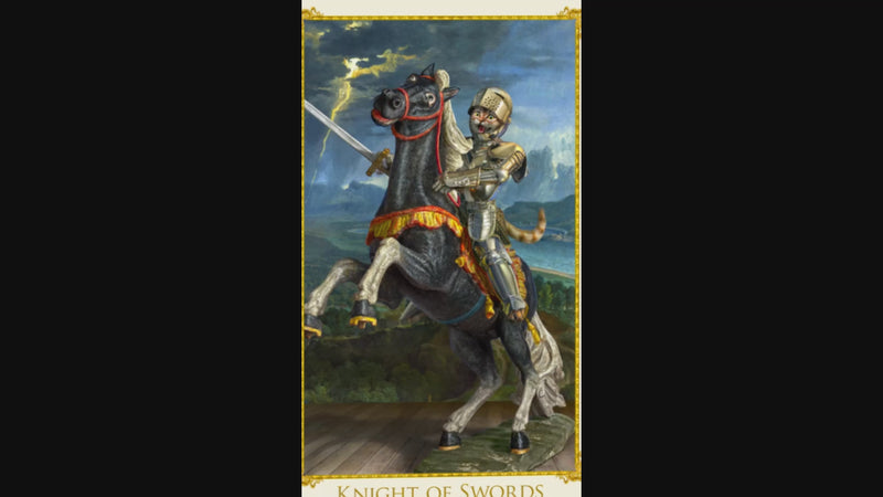 The Knight of Swords cat tarot card from The Bohemian Cats Theatre Tarot