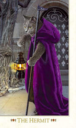 Baroque Bohemian Cats' Tarot standard 2011 deck - Baba Store - 4