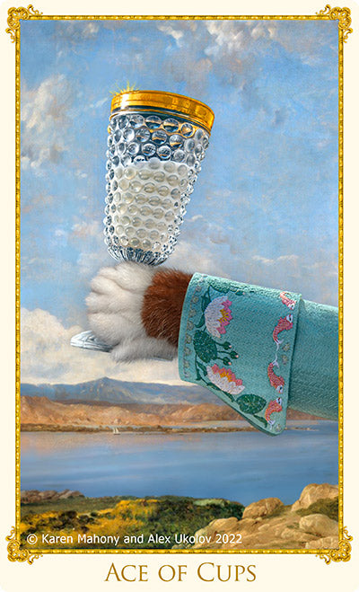 The Ace of Cups Summer card from the new Bohemian Cats Tarot cards