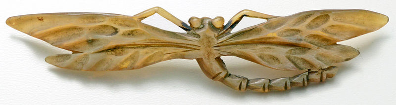 carved horn, insect, jewelry, dragonfly, brooch, pin georges pierre, elizabeth bonte, art nouveau, antique, 