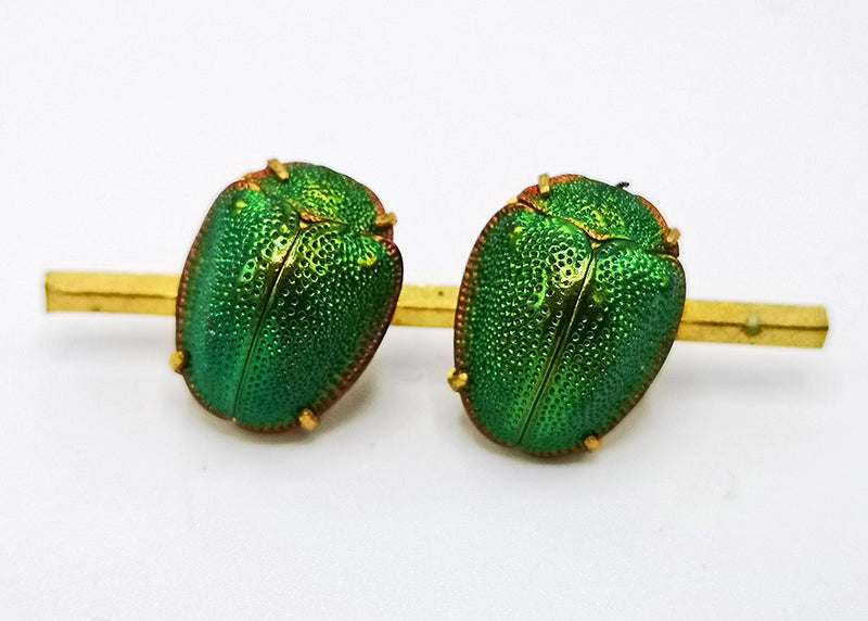 scarab, real scarab, beetle, scarab beetle, victoriana, insect, jewellery, jewelry, egyptian revival